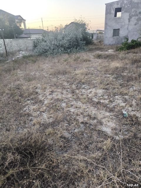 4 sot torpaq sahəsi, Novxanı qəs.