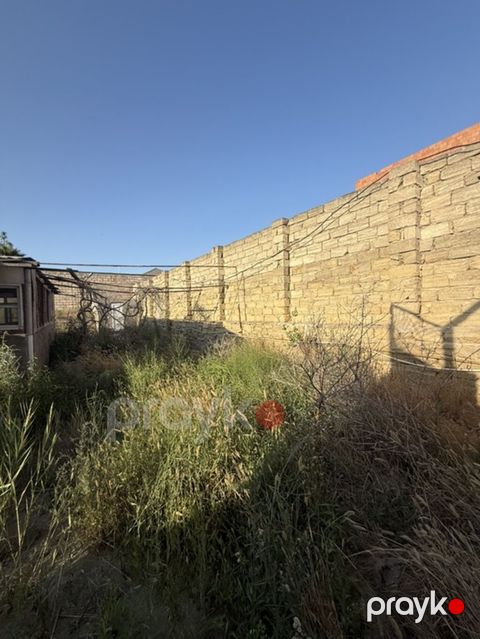 3 sot, Tikinti, Kupça (Çıxarış)