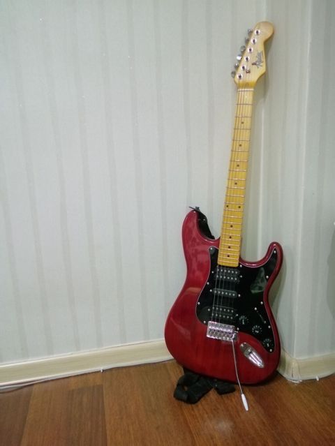 Elektron gitara, Fender, 6 sim, İşlənmiş