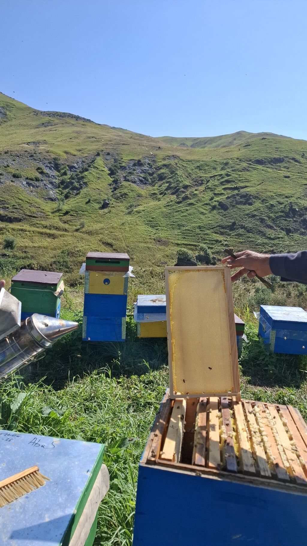 Kəlbəcər Şan Balı Təbii şan balının saf dadını və dağ florasının — Qida məhsulları, Digah (2)