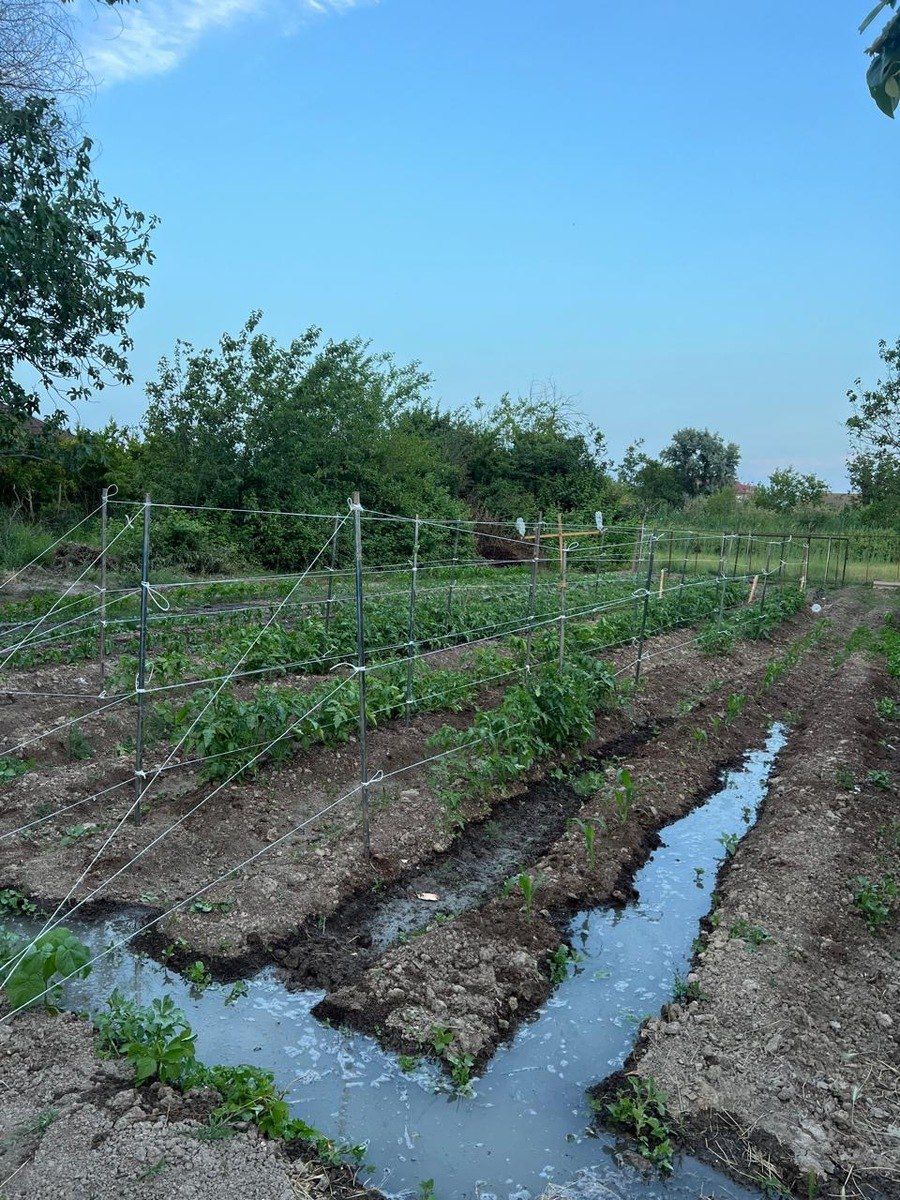 Həyət evi, Salyan r. — Daşınmaz əmlak, Salyan (3)