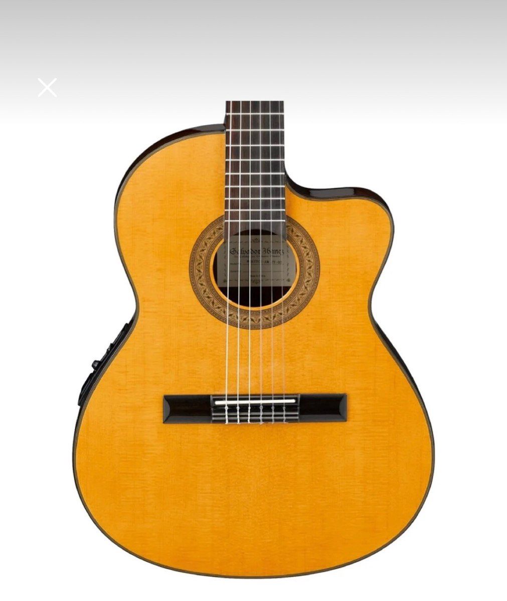 Klassik elektro gitara — Musiqiə alətləri, Bakı (2)