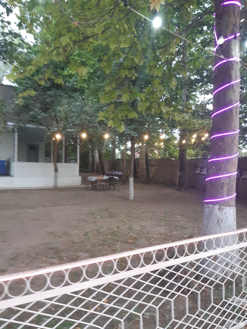 Nərgiz kafesine ofsiyant xanım teleb olnur maaş 30 azn +yimək çayavoy — Daşınmaz əmlak, Tovuz (8)