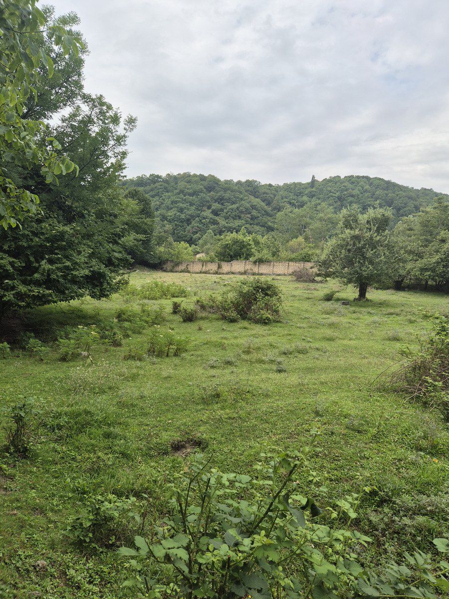 Satılır torpaq 4 sot — Torpaq, Qəbələ (9)