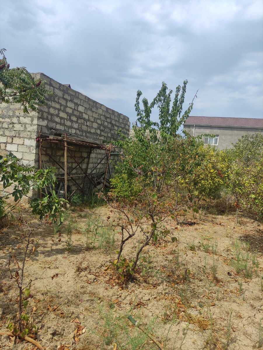 Satılır torpaq 9 sot — Torpaq, Bakı (3)