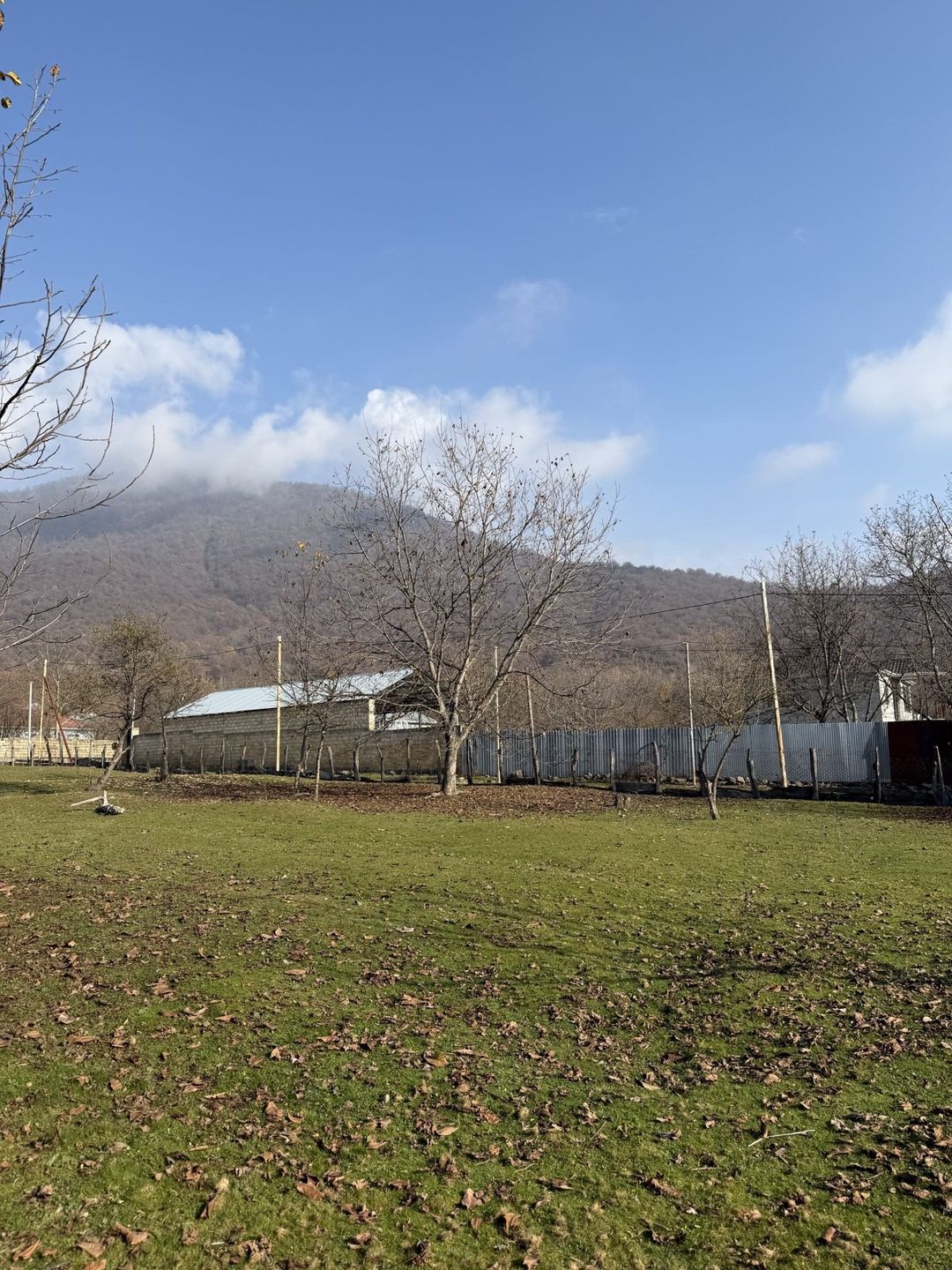 Satılır torpaq 4 sot — Torpaq, Qəbələ (3)