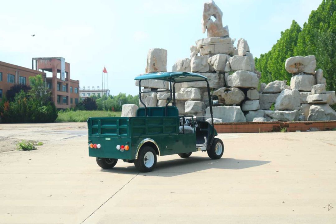 Golfcar Pickup, 2026 — Avto, Bakı (4)
