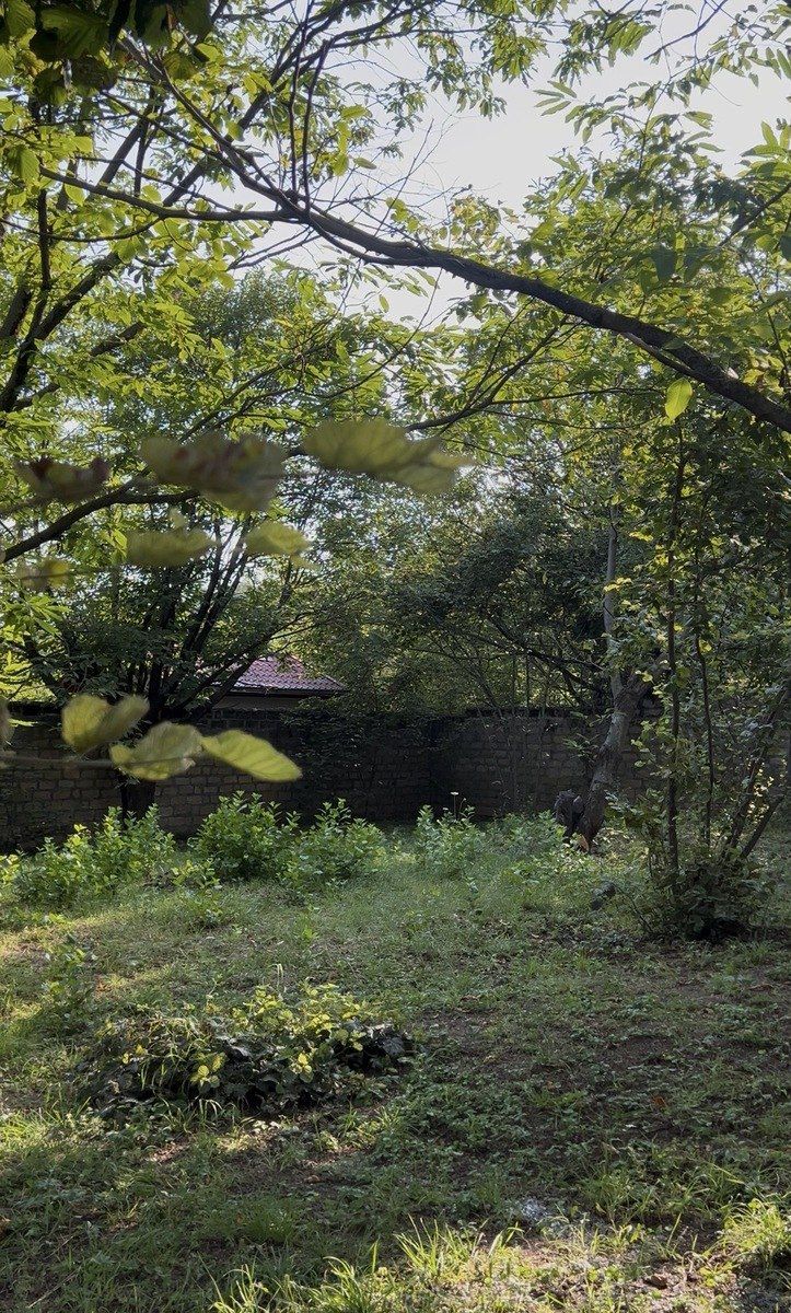 Satılır torpaq 38 sot — Torpaq, Qəbələ (5)