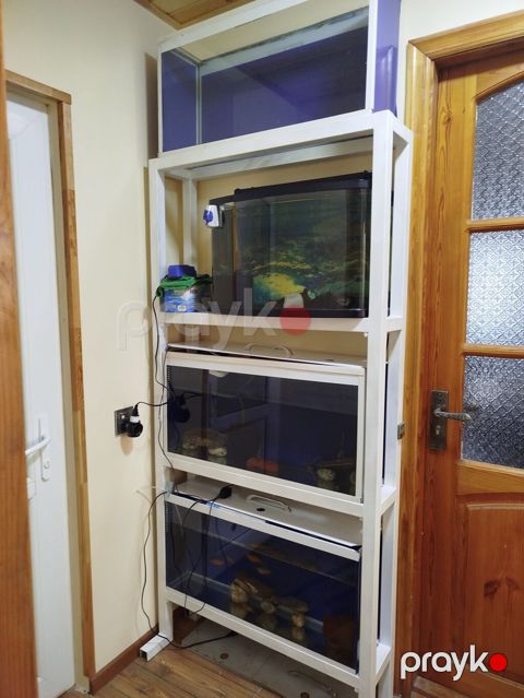 Çoxsəviyyəli akvarium stendi və akvariumlar - 4 mərtəbəli, möhkəm