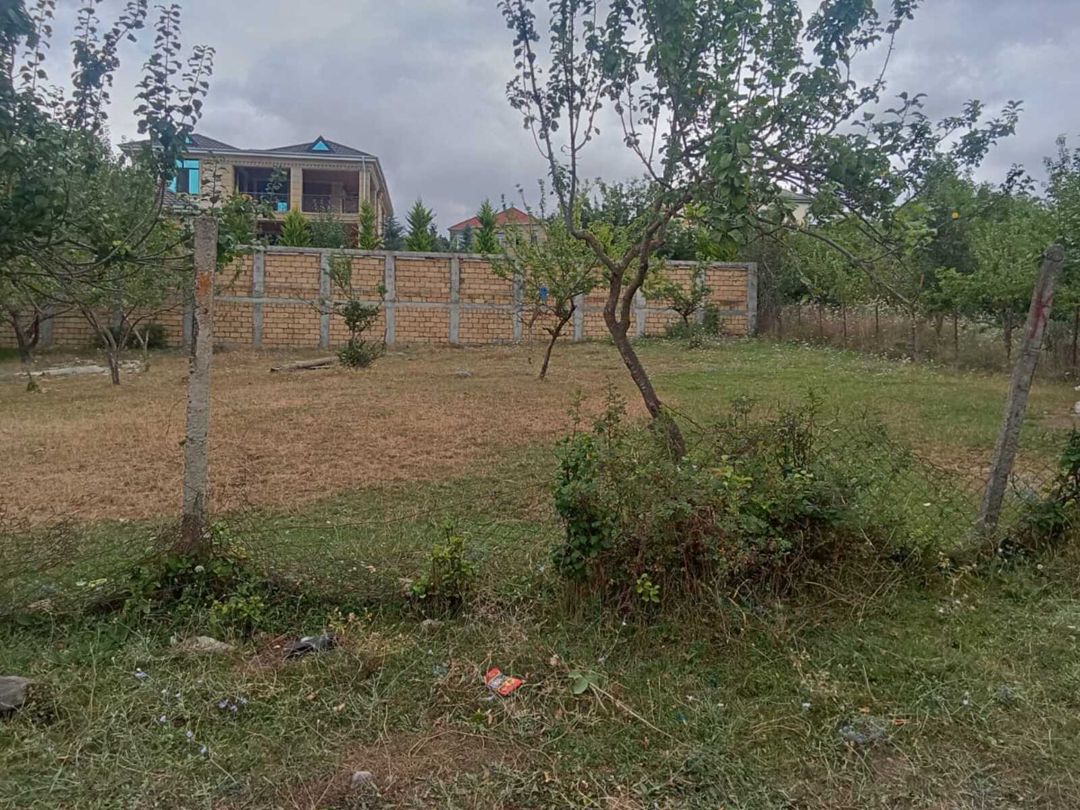 Satılır torpaq 9 sot — Torpaq, Şamaxı (5)