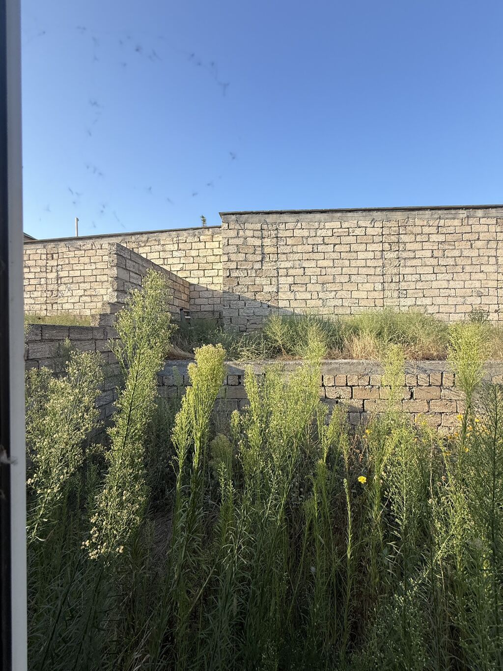 3 sot, Tikinti, Kupça (Çıxarış) — Torpaq, Digah (6)