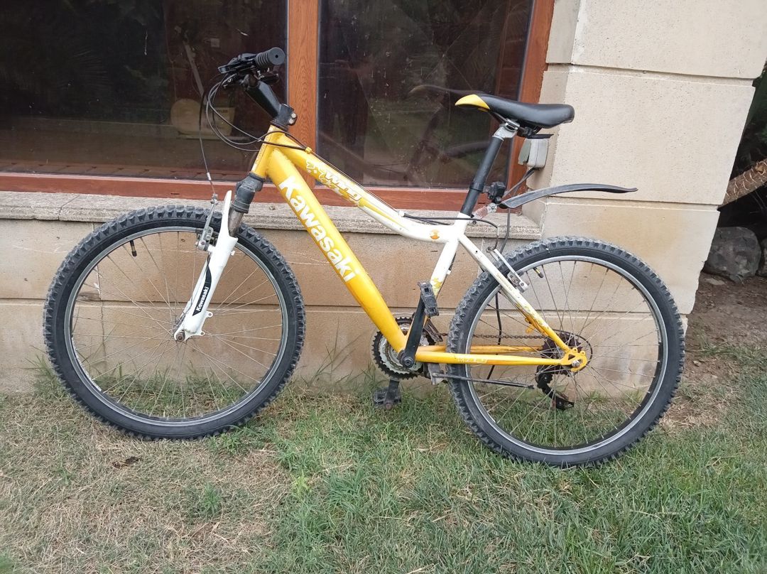 Velosiped — Velosipedlər, Bakı (2)