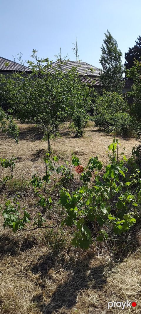 3 sot, Mülkiyyətçi, Kupça (Çıxarış) — Sumqayıt