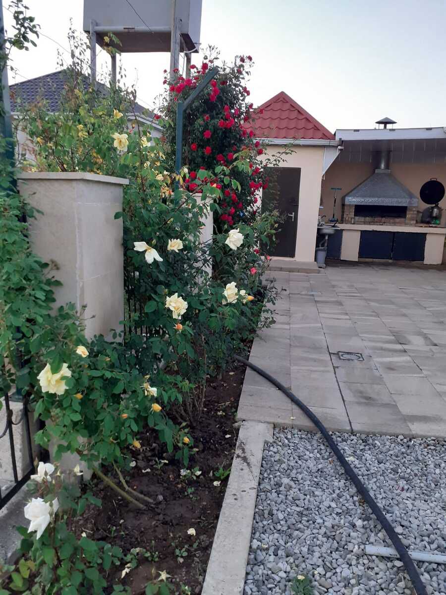 Villa kirayə verilir, Şamaxı r. — Daşınmaz əmlak, Şamaxı (9)
