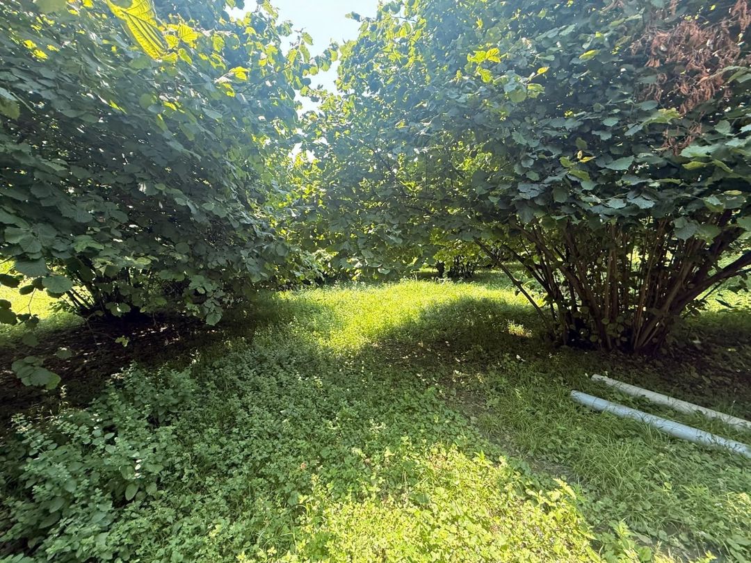 Satılır 4 otaqlı həyət evi/bağ evi 107.1 m² — Ev, villa, Zaqatala (12)