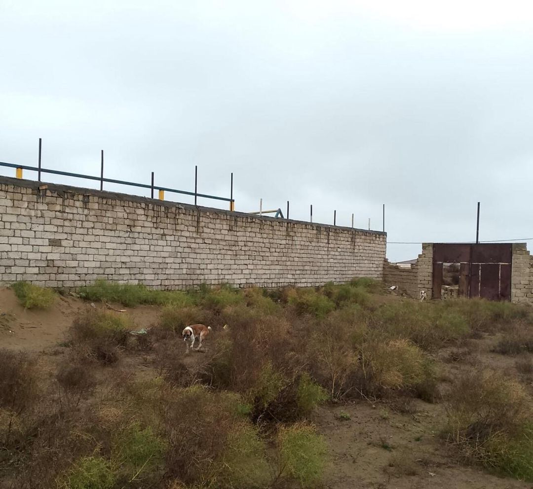 Satılır torpaq 22 sot — Torpaq, Bakı (2)
