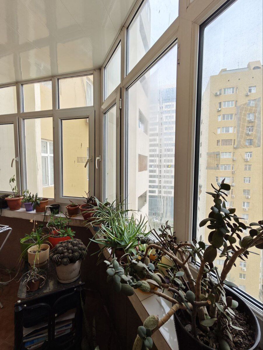 Satılır 2 otaqlı yeni tikili 65 m² — Mənzil, Bakı (11)