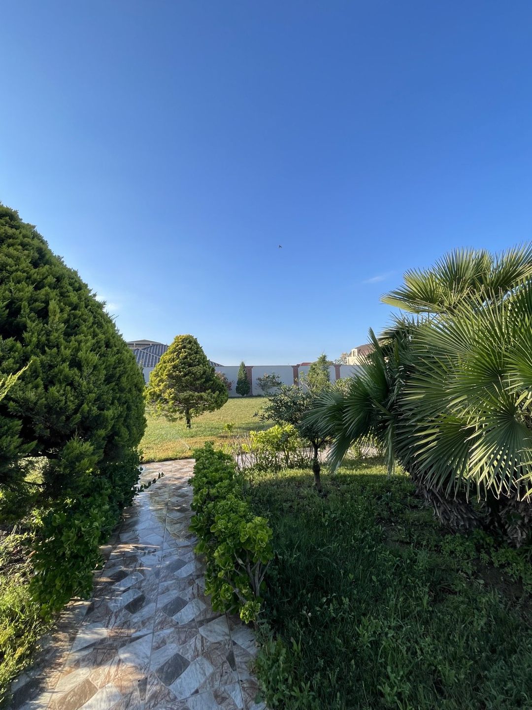 İcarəyə verilir 8 otaqlı həyət evi/bağ evi 800 m² — Ev, villa, Bakı (8)