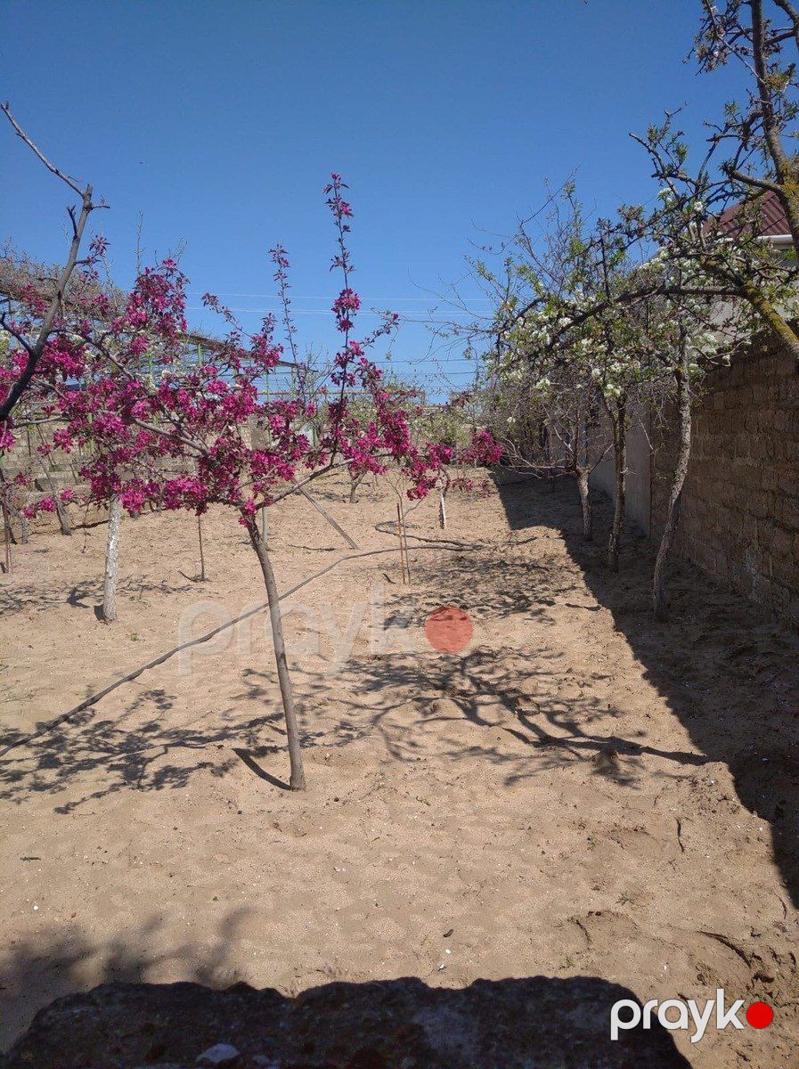Satılır torpaq 4 sot — Torpaq, Bakı (2)