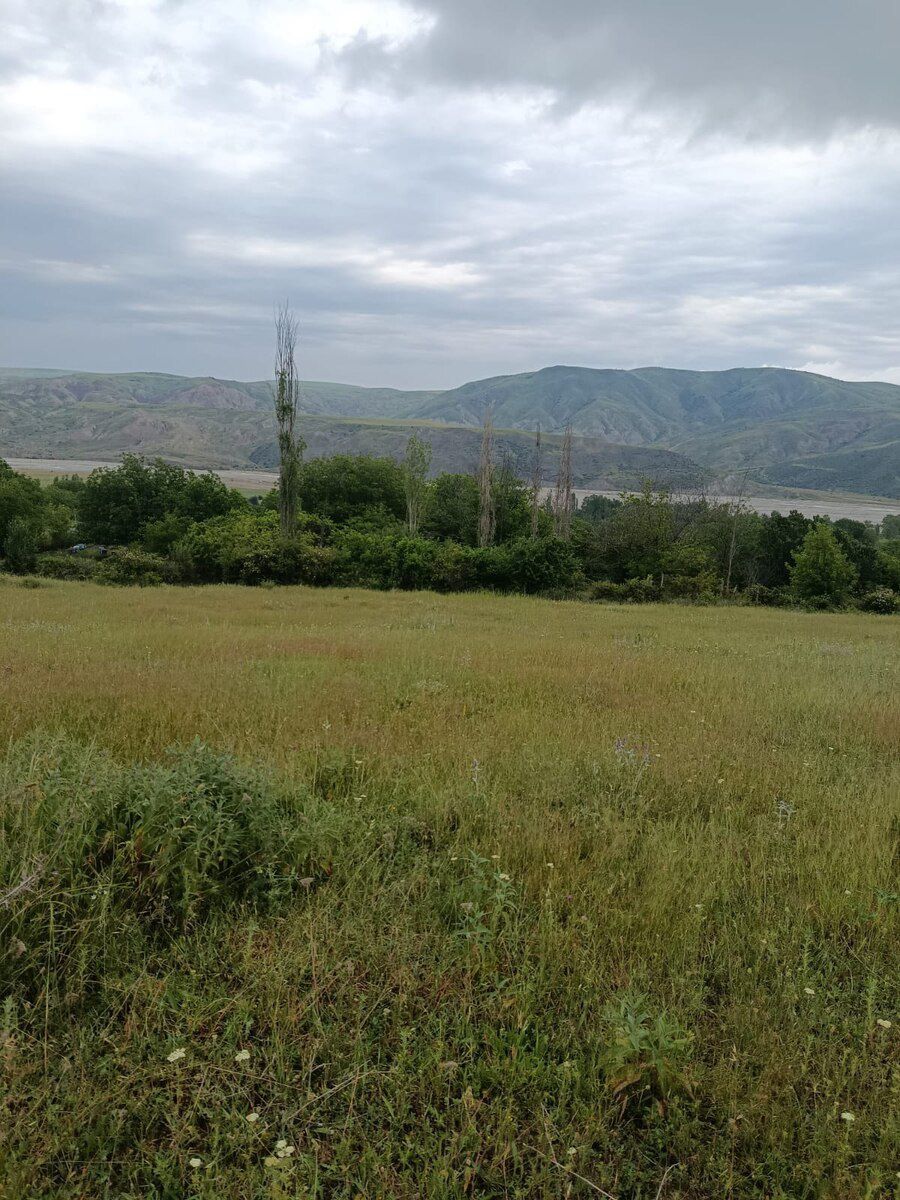 300 sot torpaq sahəsi, Şamaxı r. — Torpaq, Şamaxı (6)