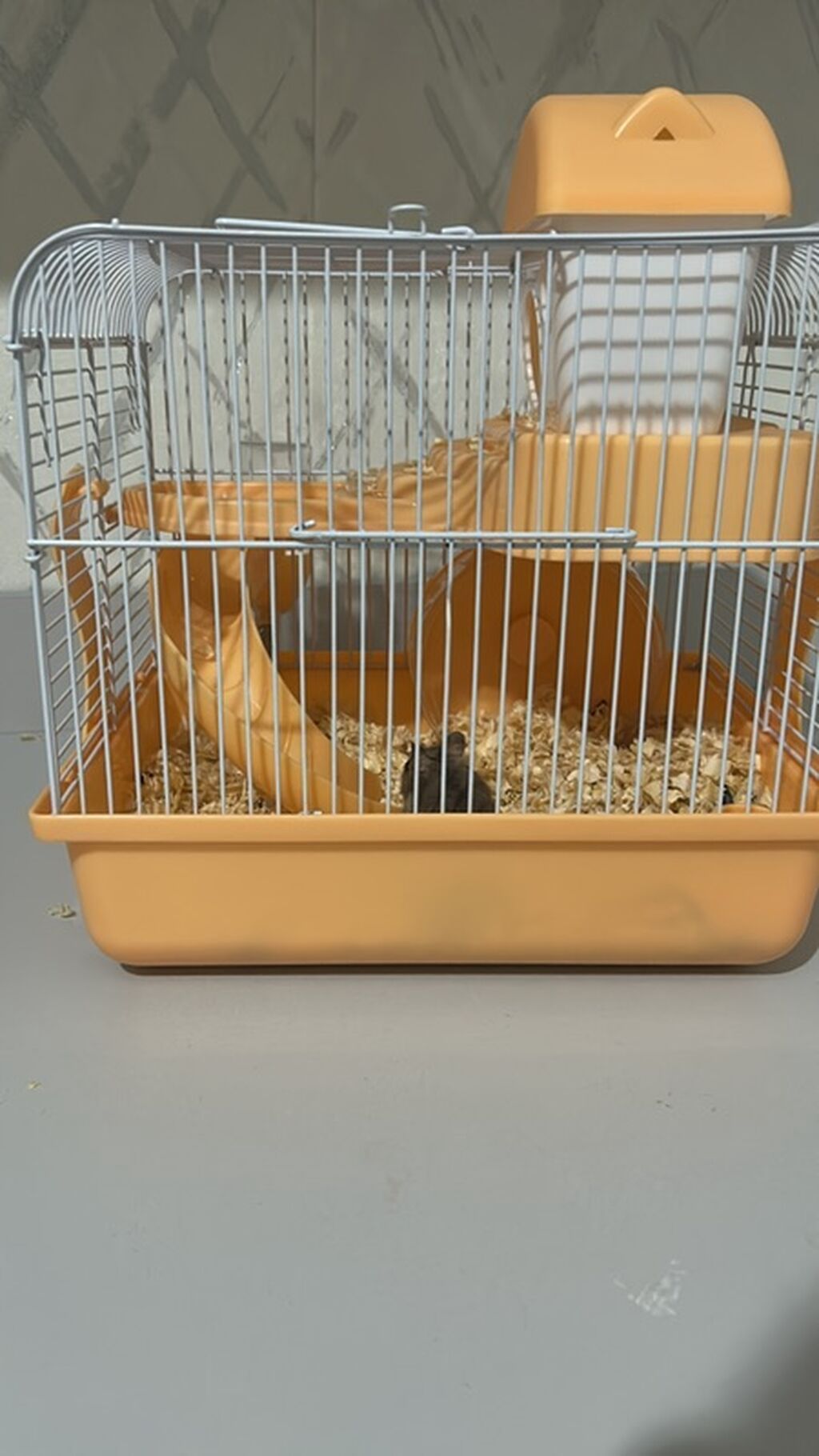 Hamster qəfəsi – tam dəst - İki mərtəbəli kompakt qəfəs, dayanıqlı — Qəfəslər, Bakı (4)
