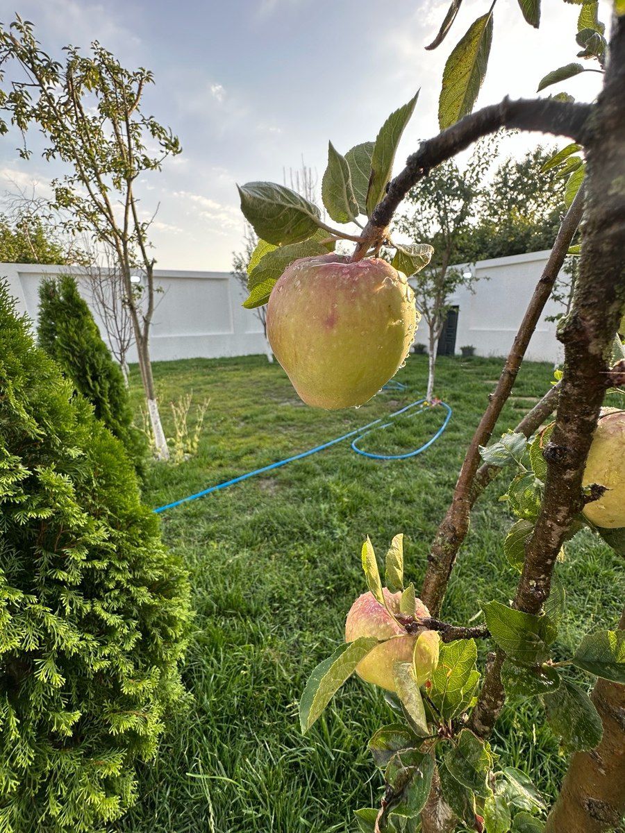 Villa kirayə verilir, Qəbələ r. — Daşınmaz əmlak, Qəbələ (9)