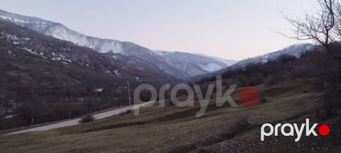 100 sot torpaq sahəsi, Quba r.