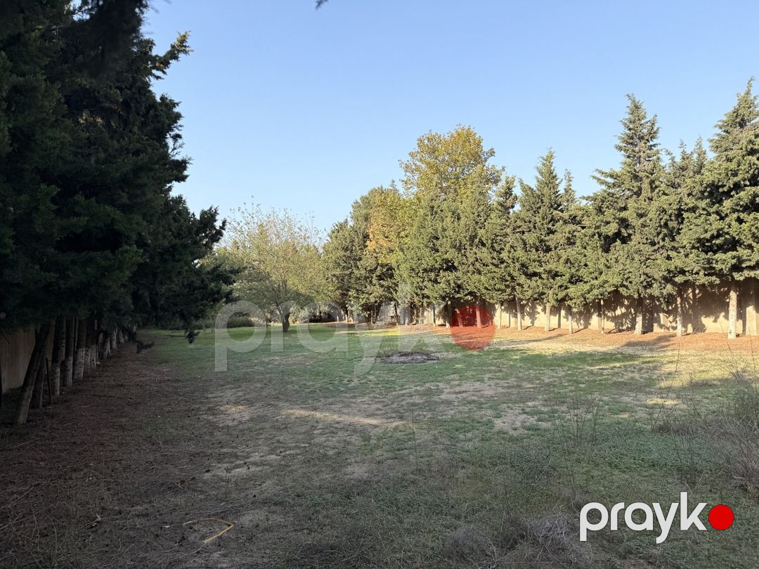18 sot torpaq sahəsi, Bilgəh qəs — Torpaq, Bakı (3)