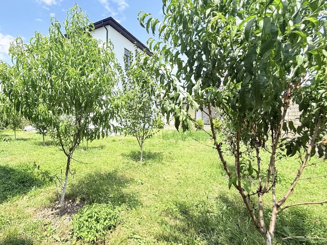 Villa kirayə verilir, Quba r. — Daşınmaz əmlak, Quba (7)