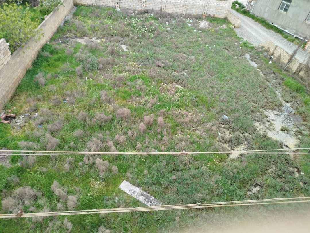 3 sot torpaq sahəsi, Saray qəs. — Torpaq, Bakı (3)
