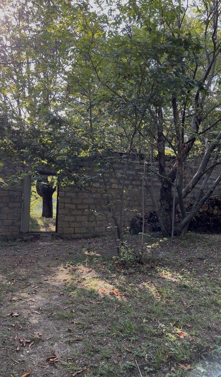 Satılır torpaq 38 sot — Torpaq, Qəbələ (6)