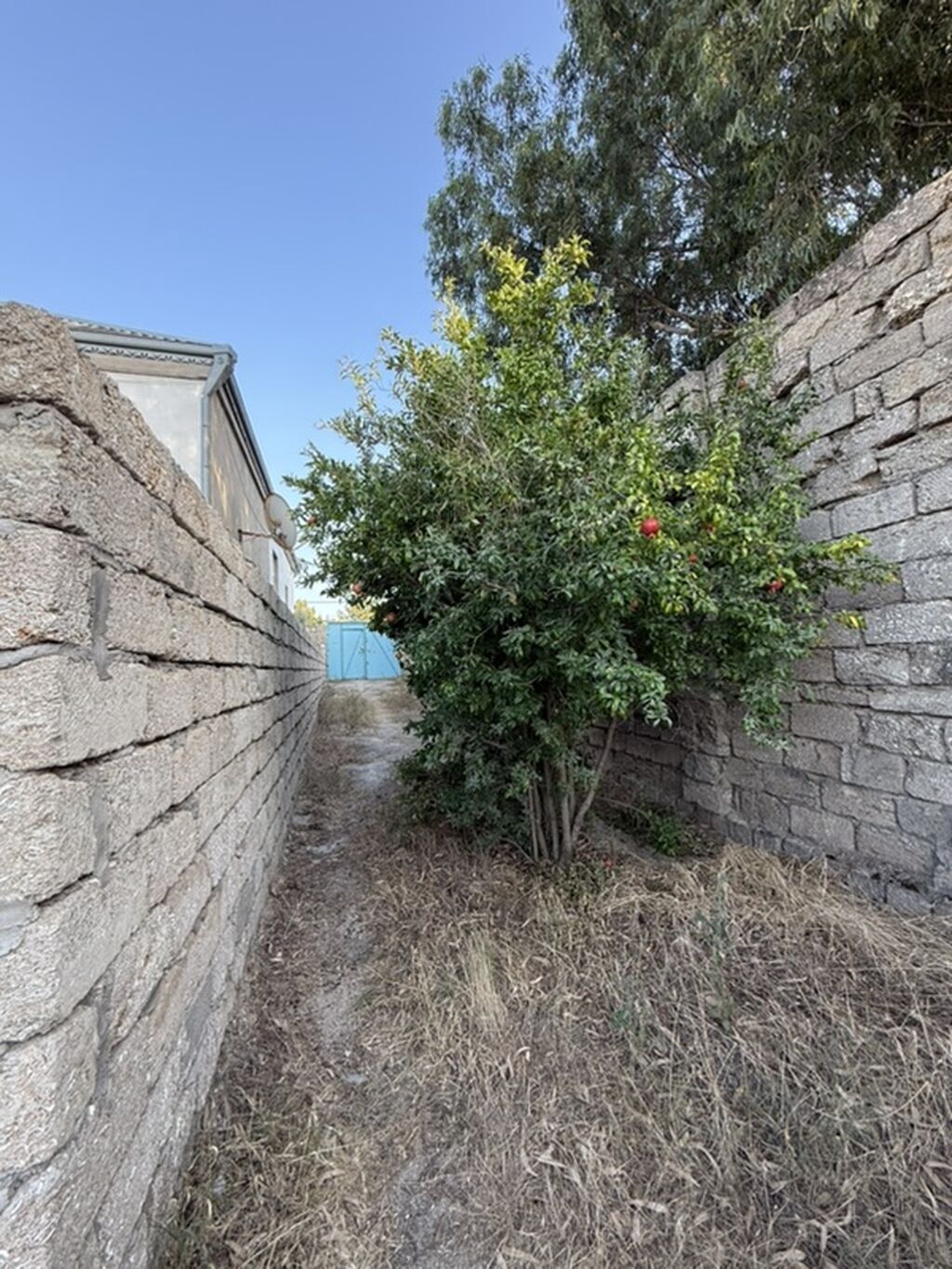 4 sot, Tikinti, Kupça (Çıxarış) — Torpaq, Digah (10)