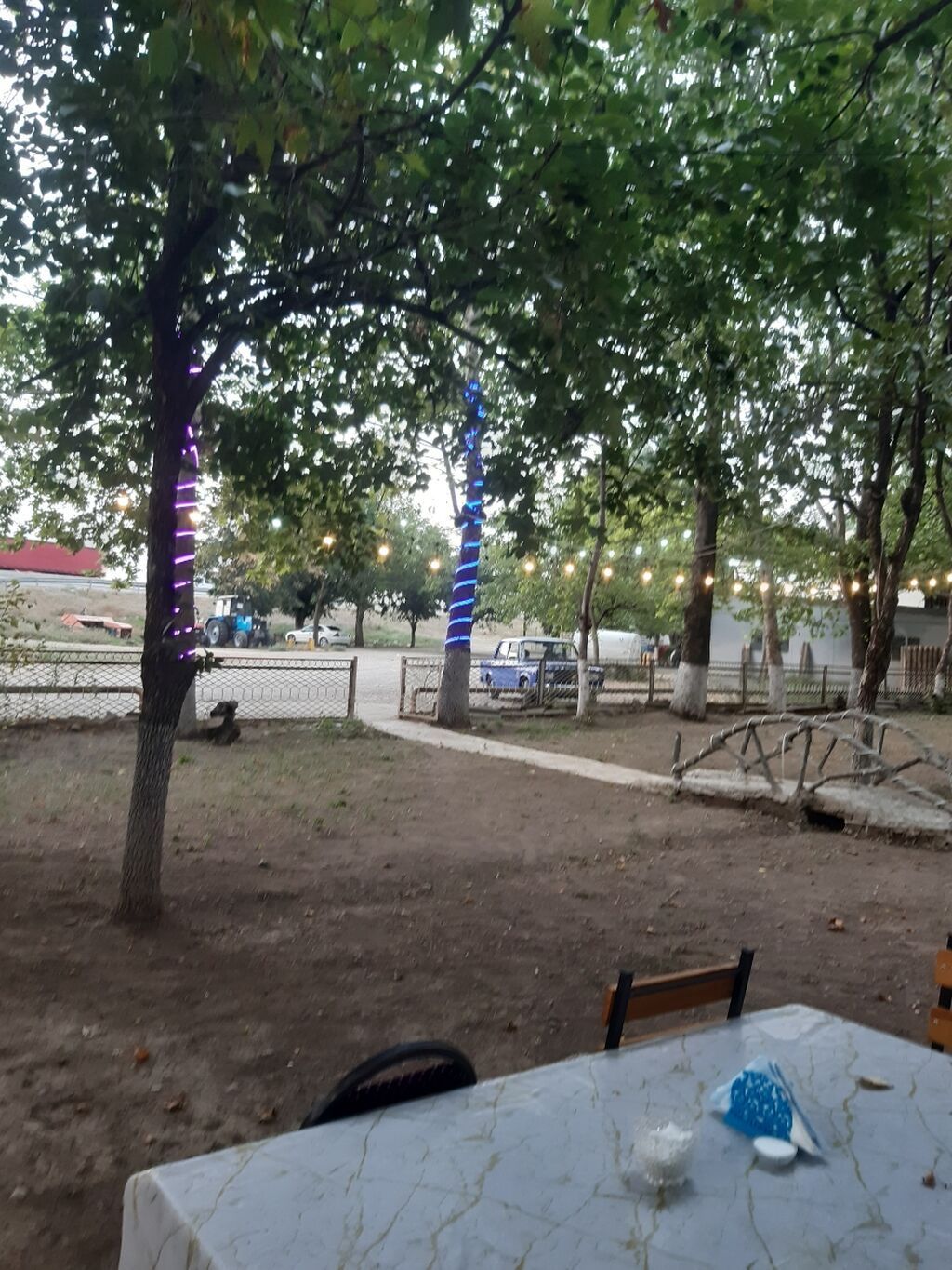 Nərgiz kafesine ofsiyant xanım teleb olnur maaş 30 azn +yimək çayavoy — Daşınmaz əmlak, Tovuz (4)