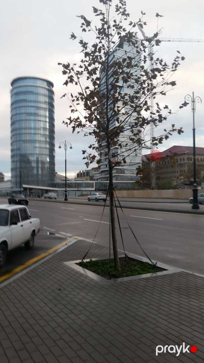 İcarəyə verilir 2 otaqlı yeni tikili 70 m² — Mənzil, Bakı (2)