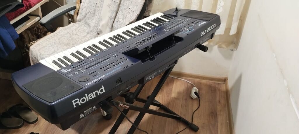 Roland EM-2000 aranjor sintezator - 61-klavişli, sürüşdürmə — Mallar, Saray (2)