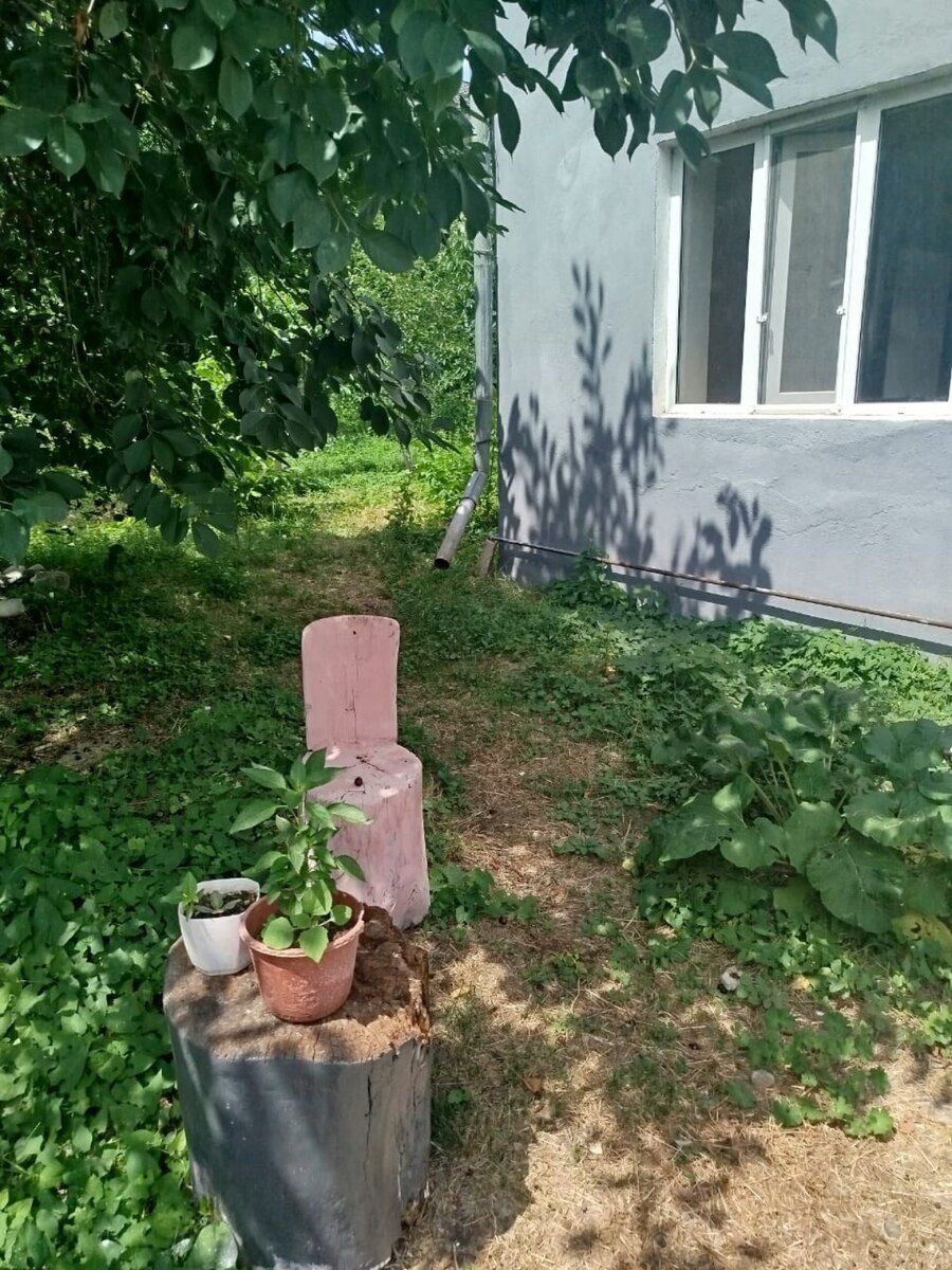 Bağ evi kirayə verilir, Qusar r. — Daşınmaz əmlak, Qusar (6)