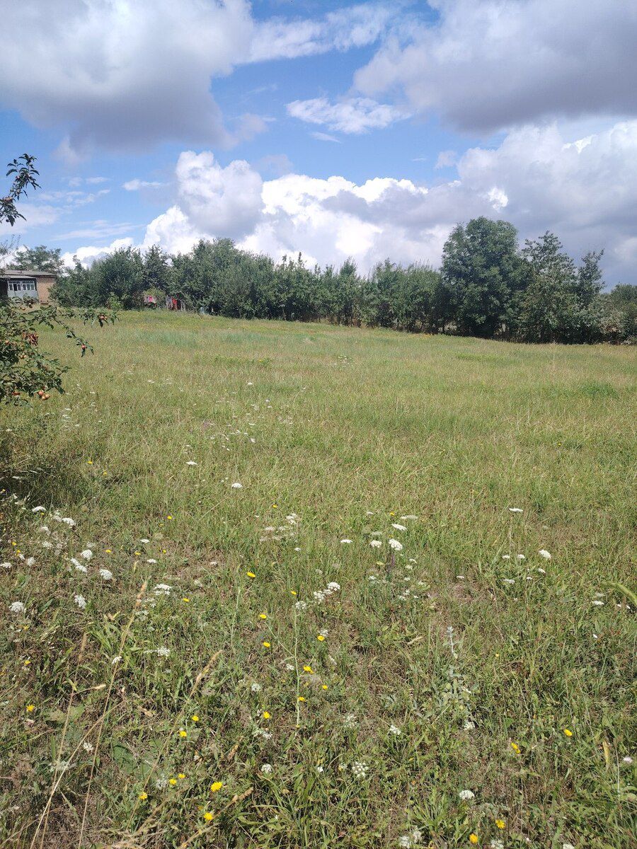 12 sot torpaq sahəsi, Qusar r. — Torpaq, Qusar (9)