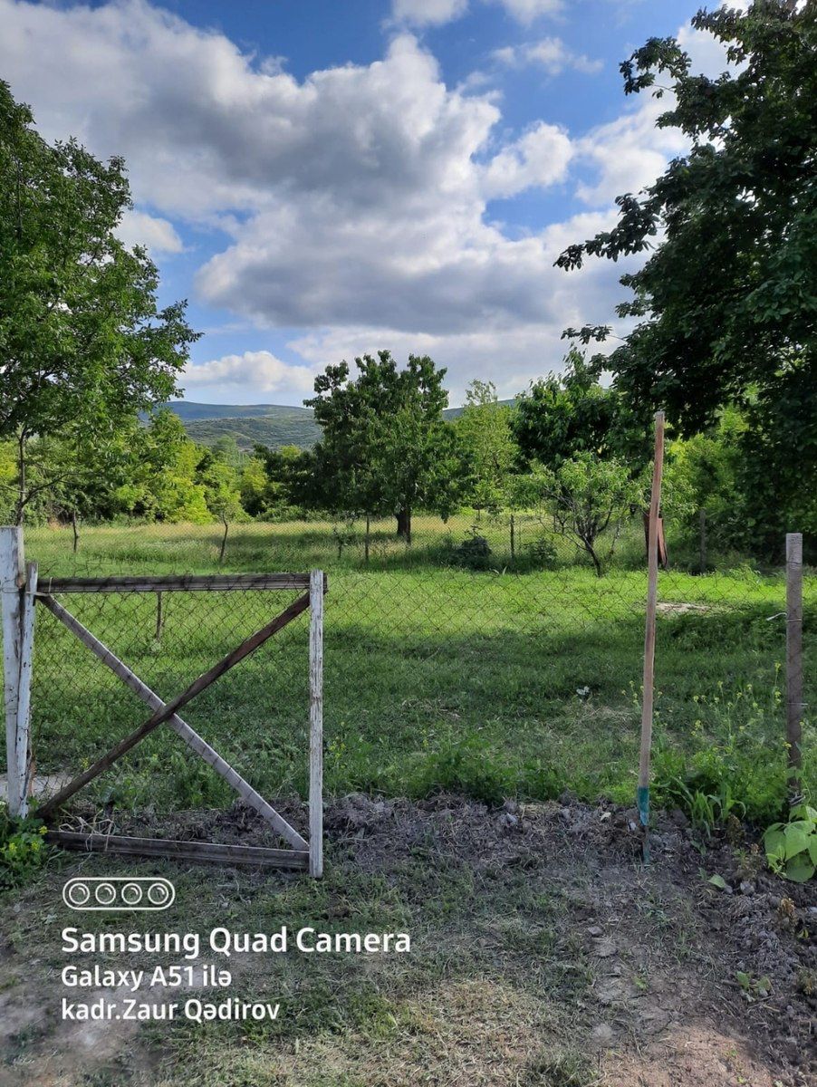 Həyət evi, Şəki küdürlü kəndi — Daşınmaz əmlak, Şəki (6)