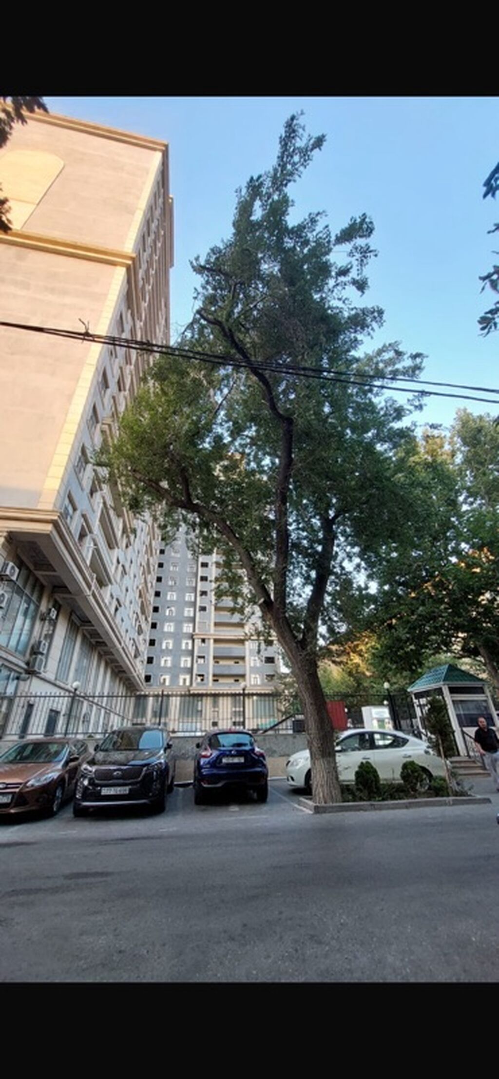 Obyekt təcili icarəyə verilir ! Qiyməti : 700 AzN. Gənclik metrosu