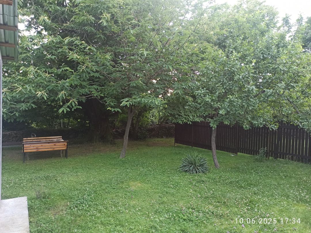 Həyət evi kirayə verilir, Zaqatala r.,Car kəndi — Ev, villa, Zaqatala (8)
