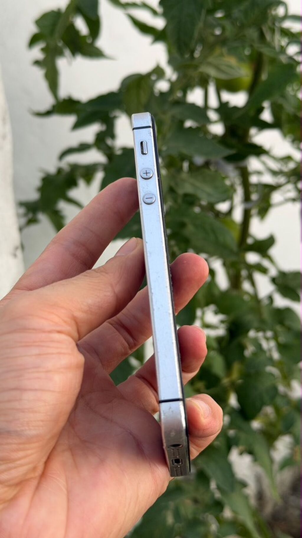 IPhone 5s, Gümüşü, Qırıq — Apple iPhone, Bakı (8)
