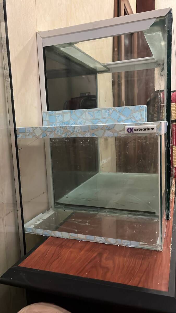Akvarium — Akvariumlar və balıqlar, Bakı (3)