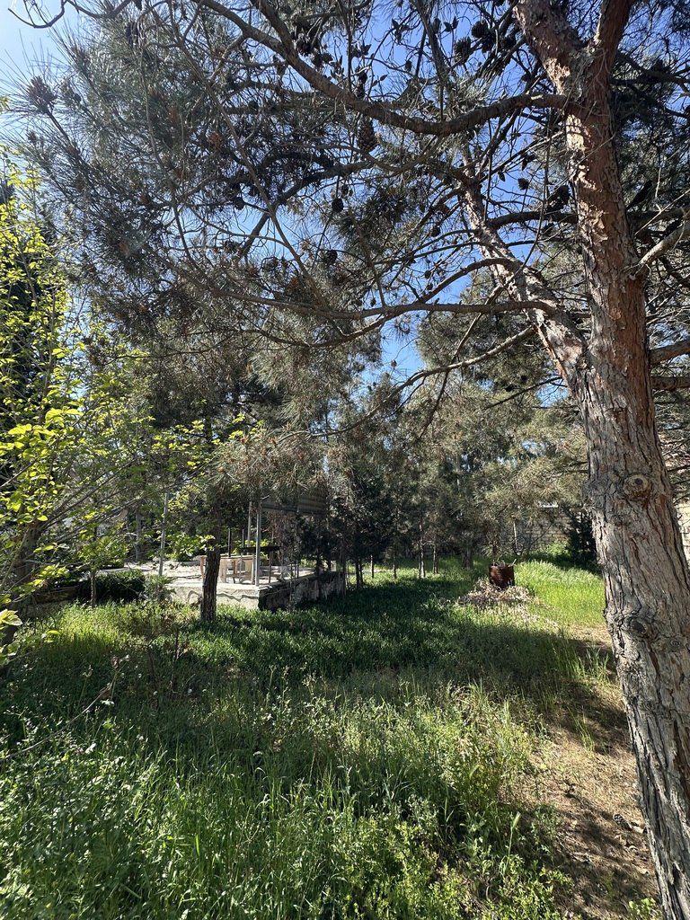 Satılır torpaq 11 sot — Torpaq, Bakı (3)
