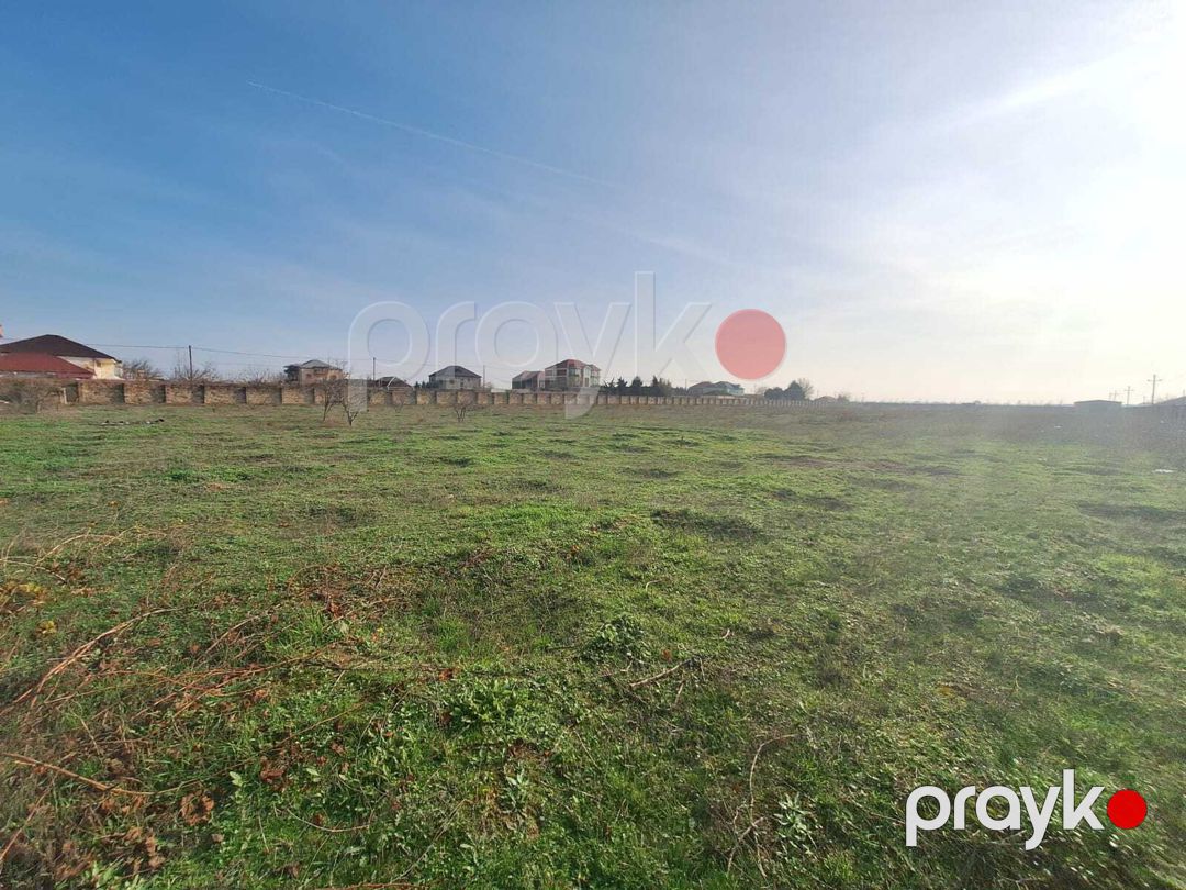 Satılır torpaq 31 sot — Torpaq, Bakı (2)