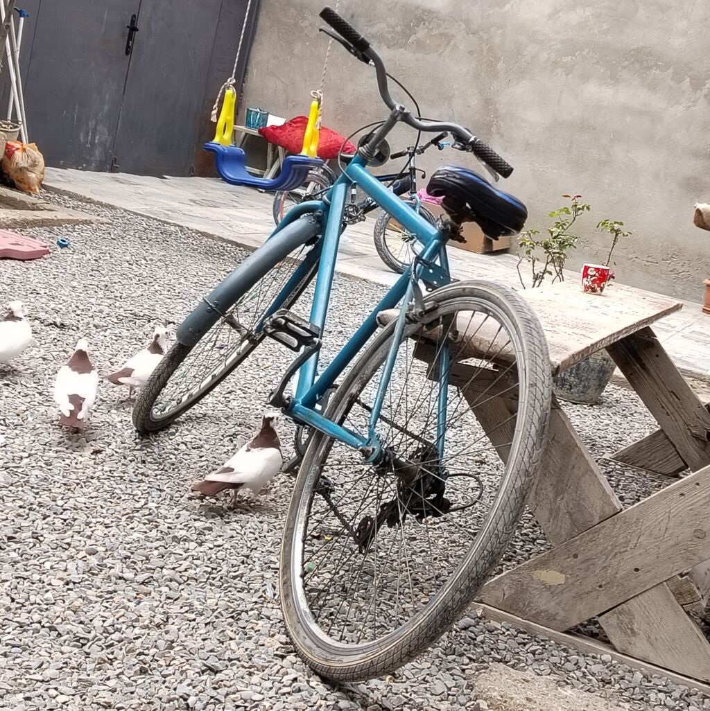 Velosiped 29'luqdur, heç bir problem yoxdur, arxa skorus islek — Velosipedlər, Bakı (5)