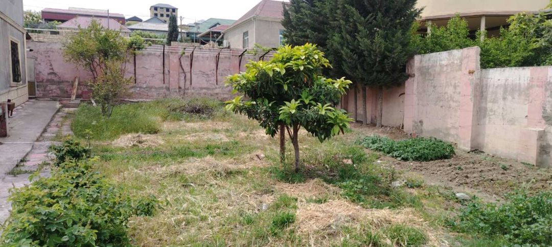 3 sot torpaq sahəsi, Xocasən qəs. — Torpaq, Bakı