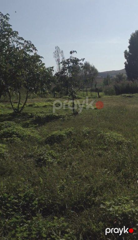 Satılır torpaq 46 sot — Torpaq, Şamaxı (6)