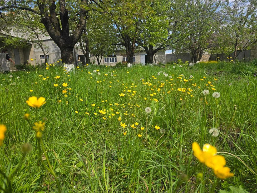 İcarəyə verilir 2 otaqlı həyət evi/bağ evi 40 m² — Ev, villa, Quba (5)