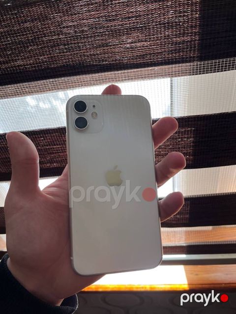 IPhone 11, Ağ
