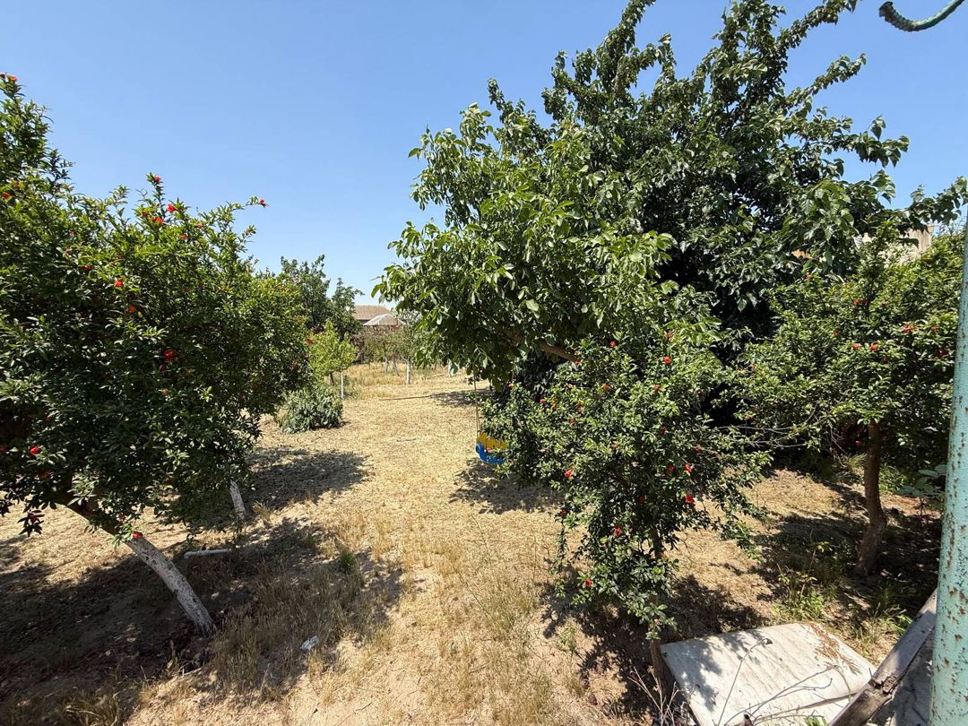 Satılır 4 otaqlı həyət evi/bağ evi 200 m² — Ev, villa, Bakı (5)